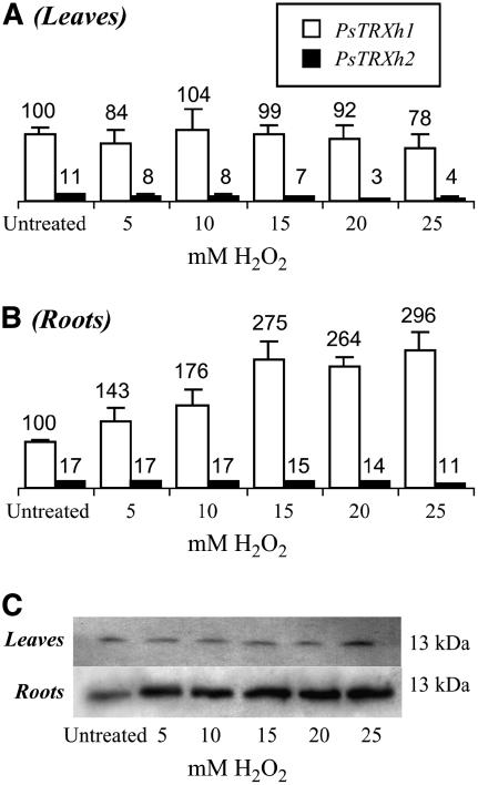 Figure 5.