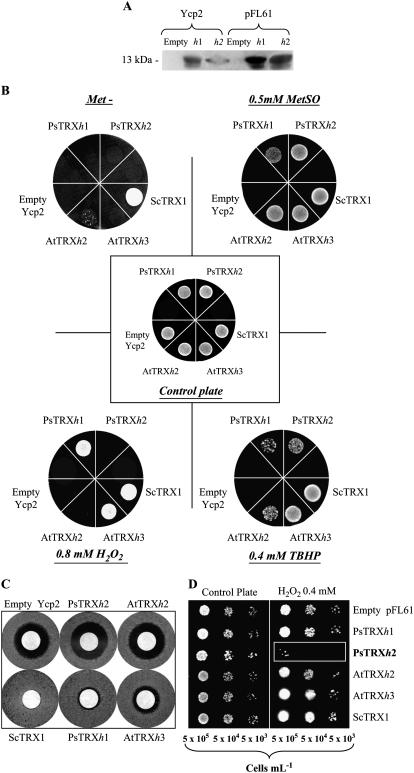 Figure 3.