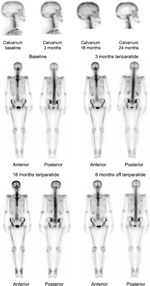 Fig. 5