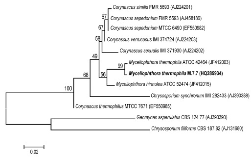 Figure 5