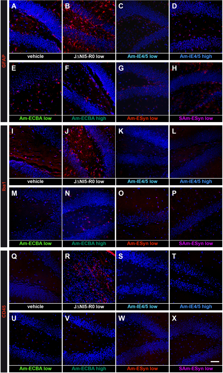 Figure 6