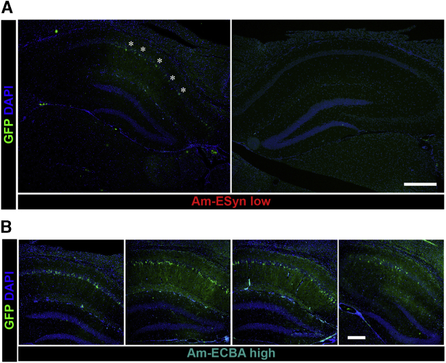 Figure 4