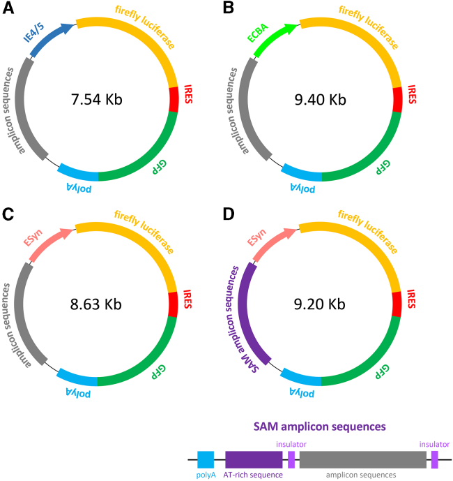 Figure 1