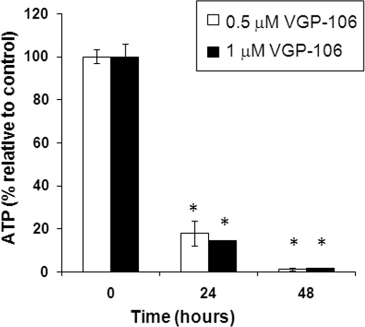 FIG 6