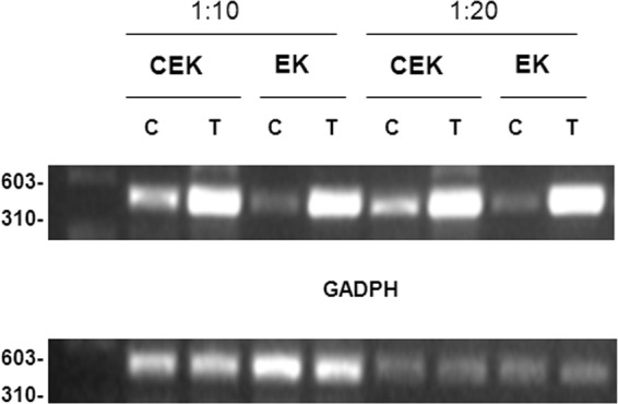 FIG 2