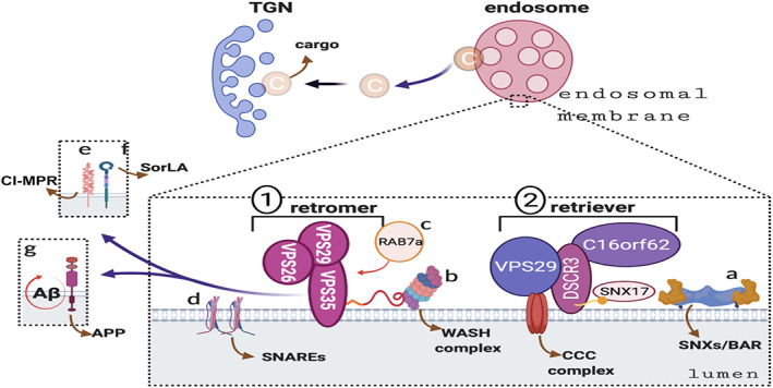 FIGURE 3