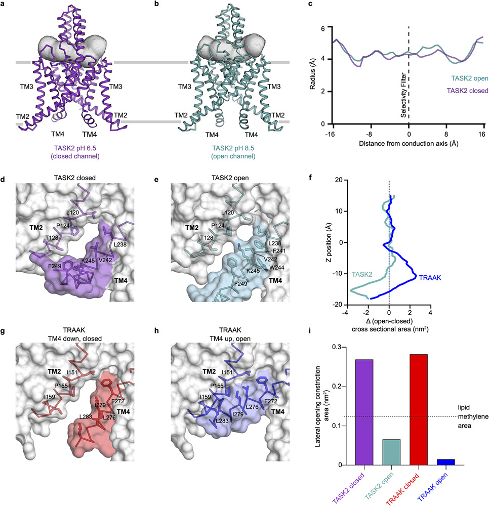 Extended Data Figure 6 –