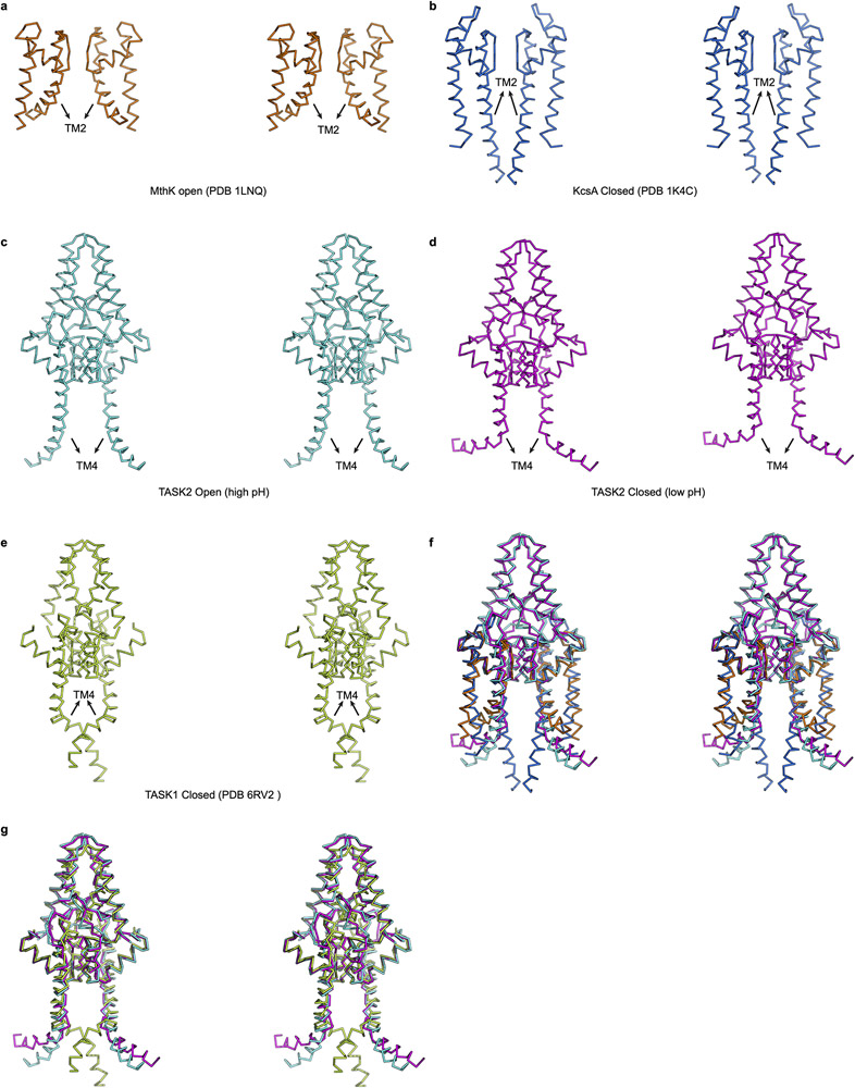 Extended Data Figure 8 –