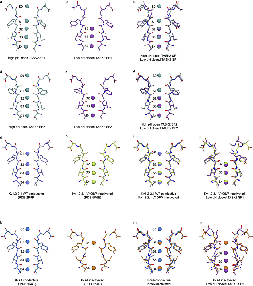 Extended Data Figure 7 –