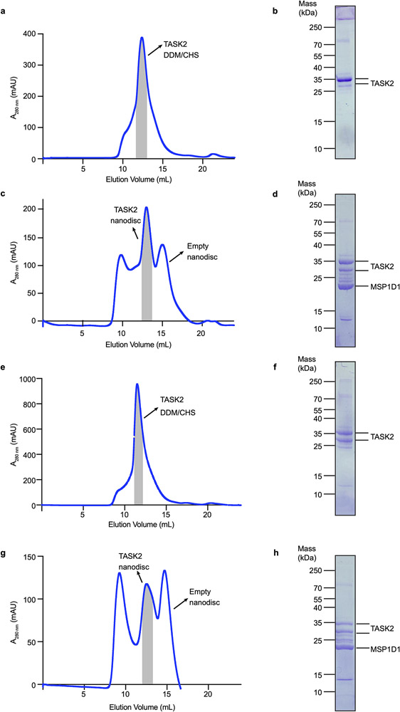 Extended Data Figure 1 –