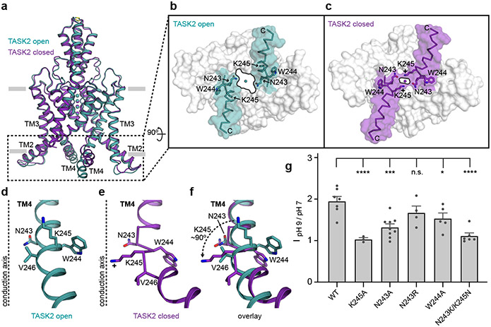 Figure 3 –