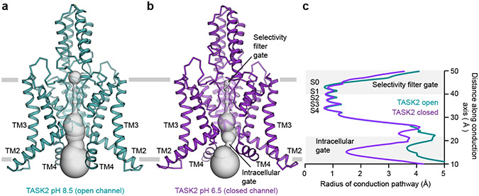 Figure 2 –