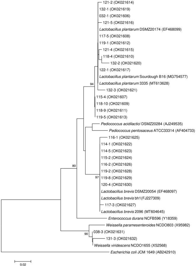 FIGURE 1