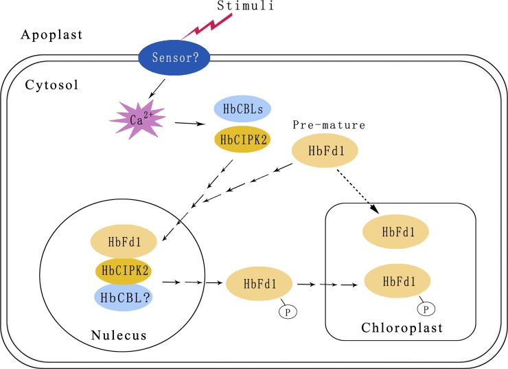 Fig 6