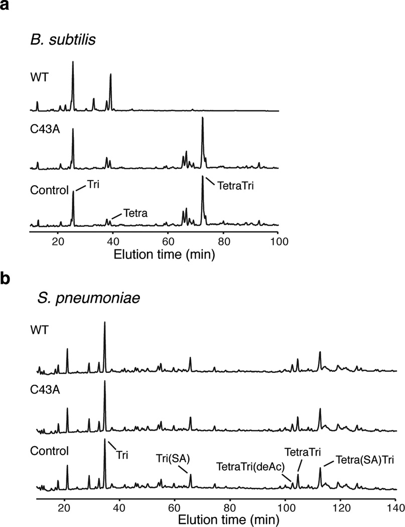 Extended Data Figure 7