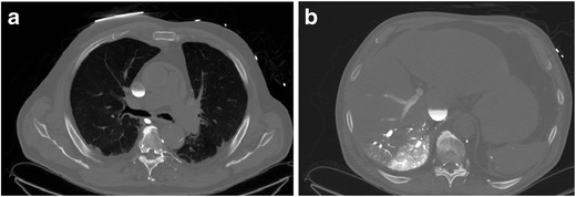 Fig. 8