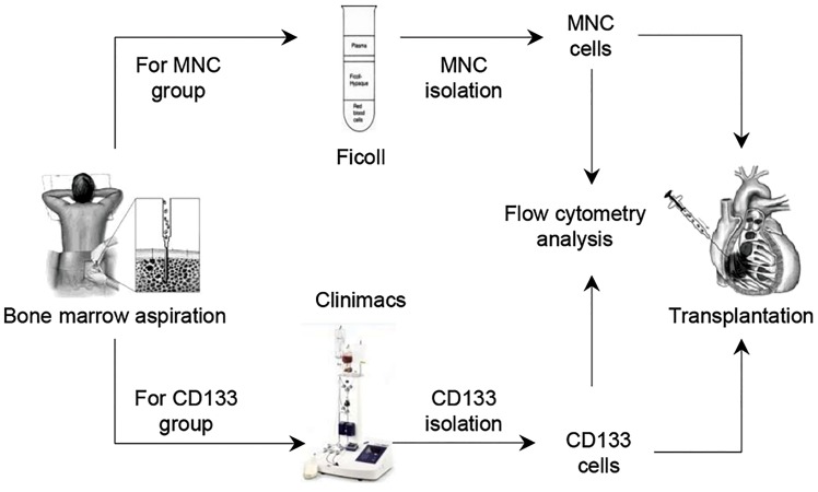 Fig.2