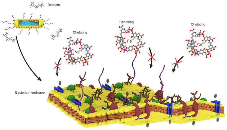 Figure 4