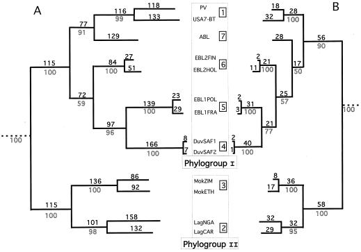 FIG. 3