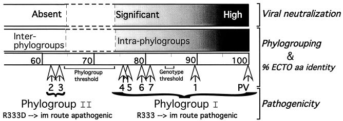 FIG. 6