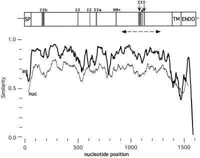 FIG. 1