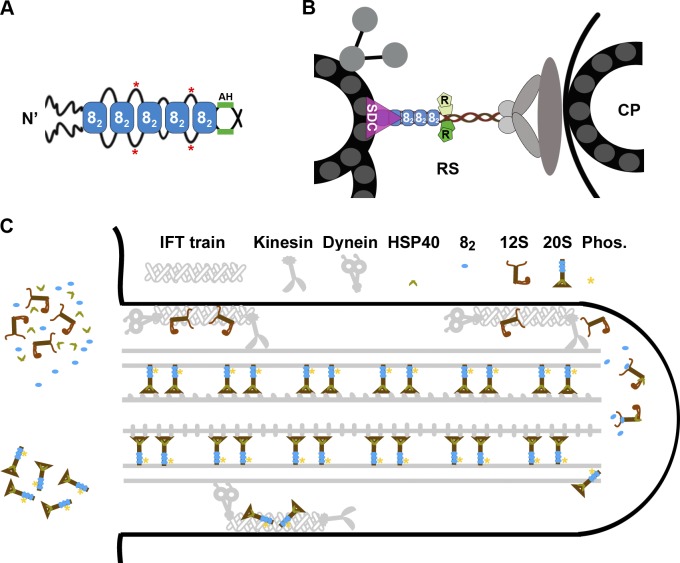 Figure 10.