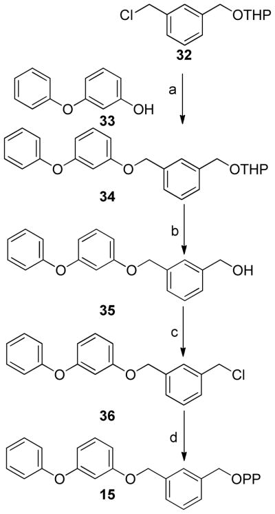 Scheme 4