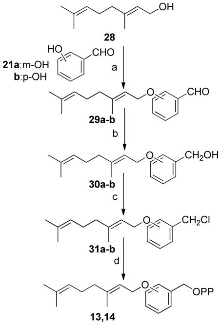 Scheme 3