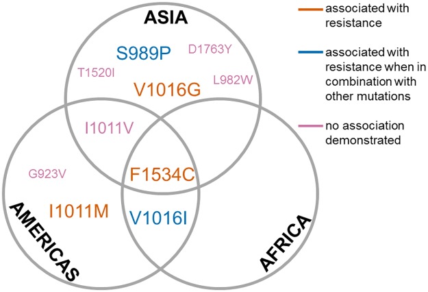 Fig 5