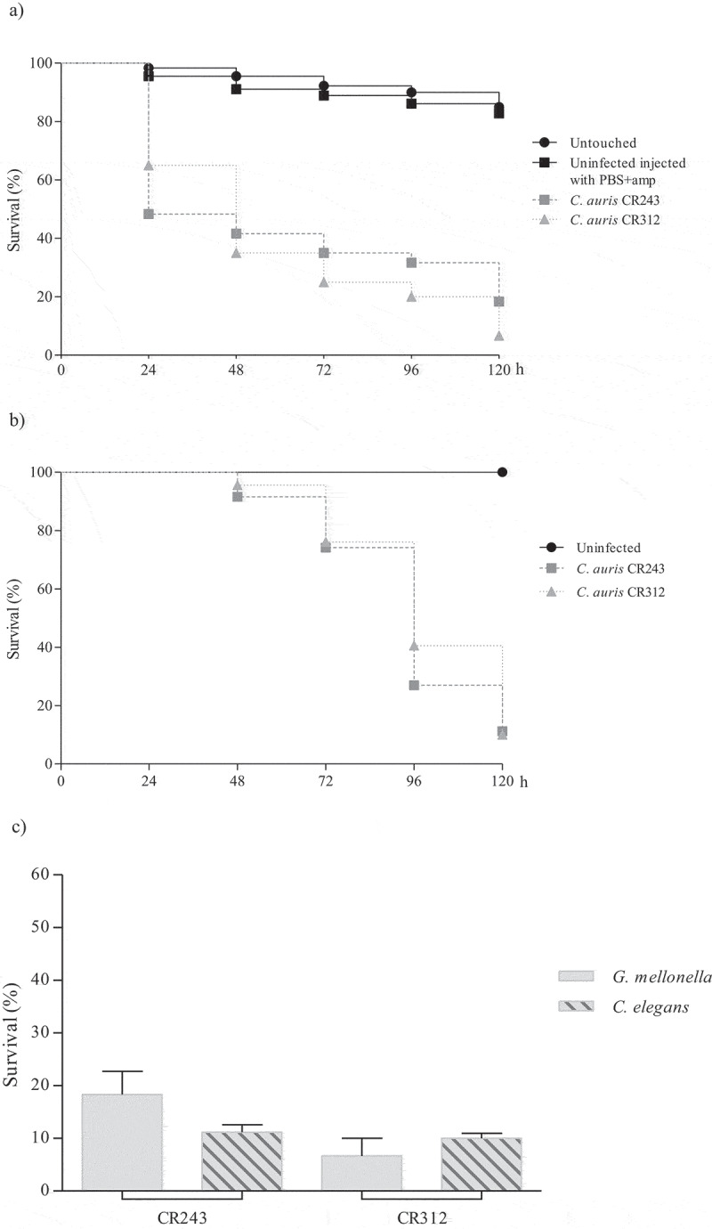 Figure 4.