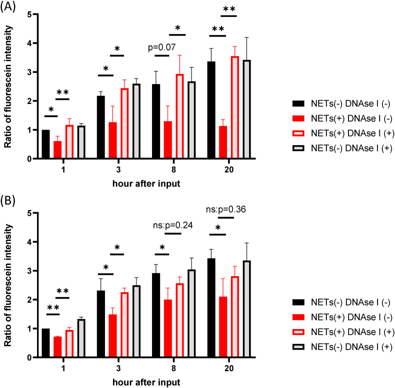 Figure 3