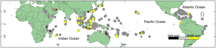 FIGURE 3