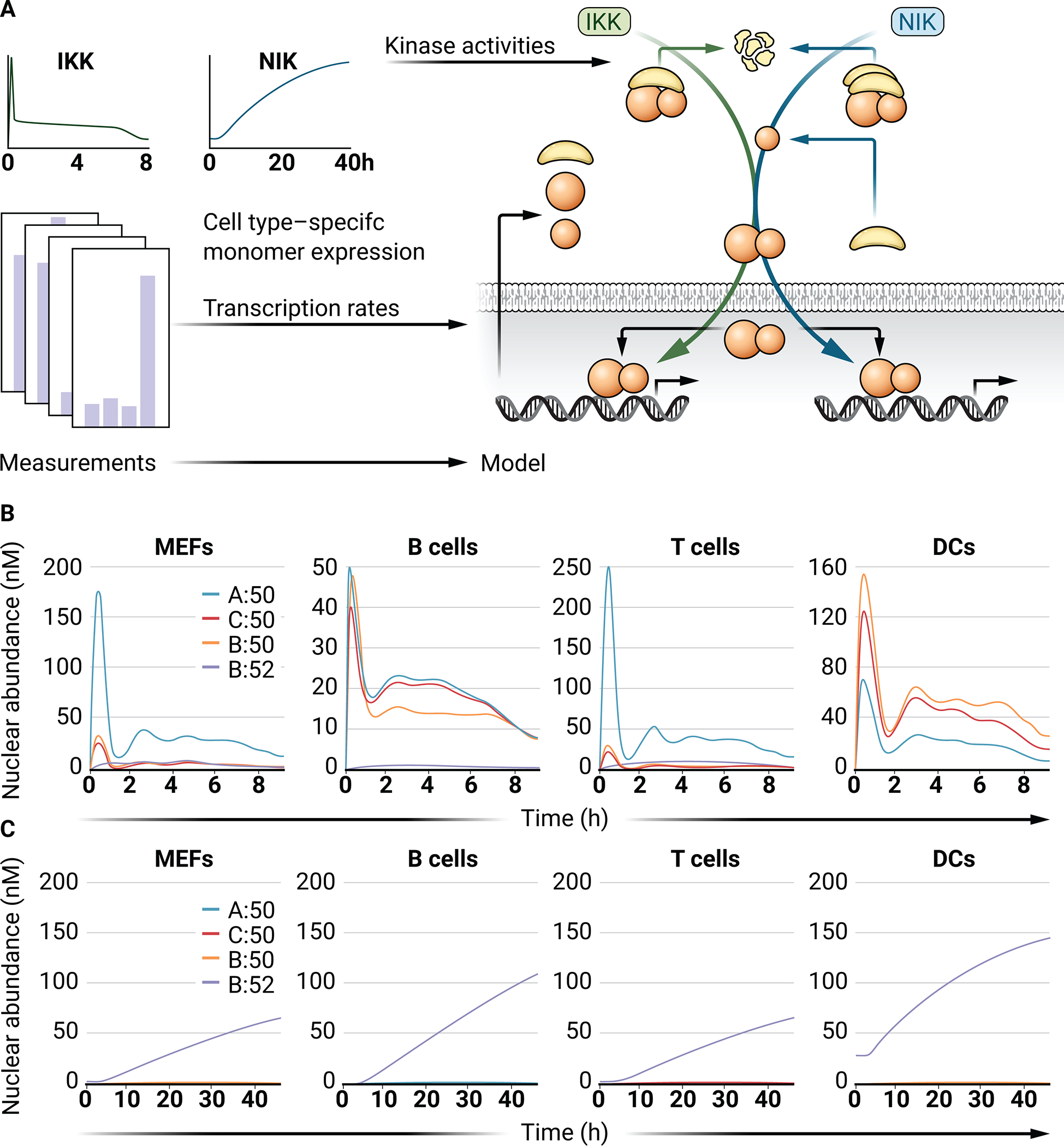 Fig 3.