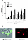 FIG. 4.