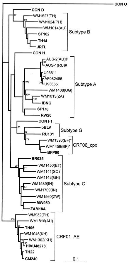 FIG. 1.