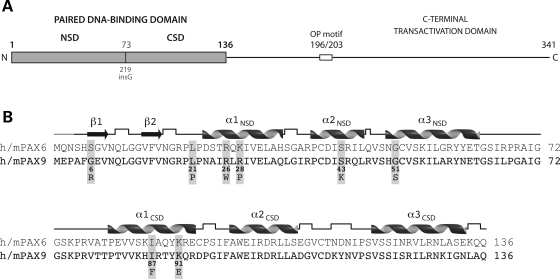 Figure 1.