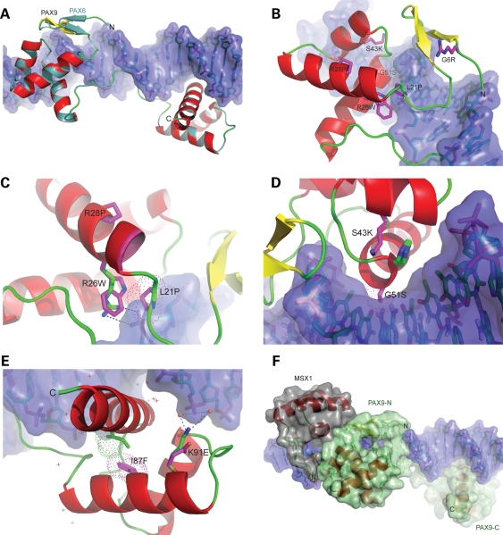 Figure 2.