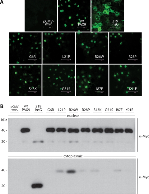 Figure 4.