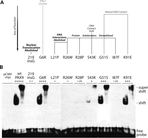 Figure 3.