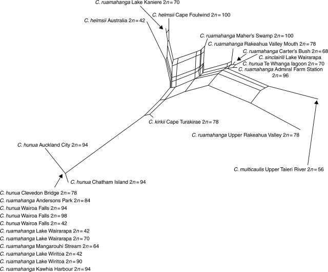 Fig. 7.