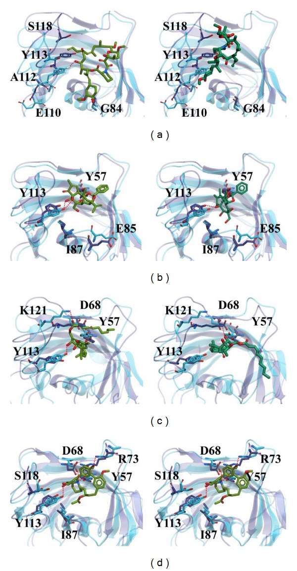 Figure 11