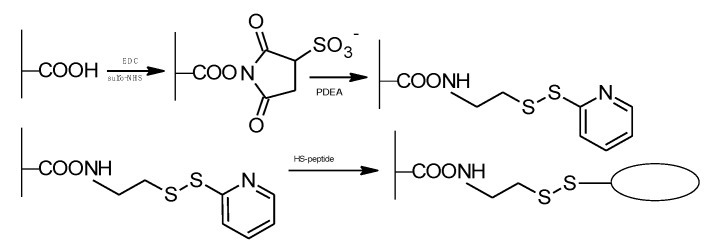 Figure 20