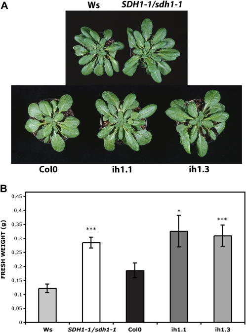 Figure 1.