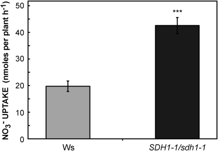 Figure 9.