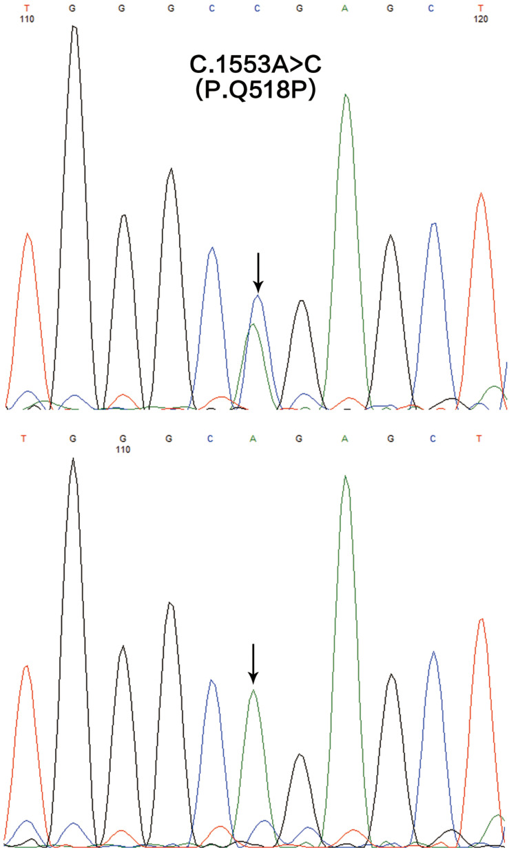 FIGURE 4