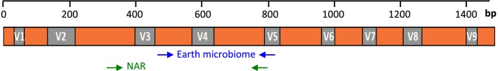 Fig. 1