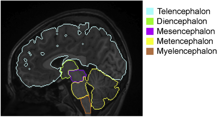 Figure 1: