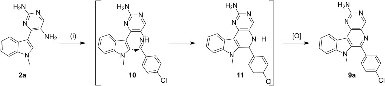 Scheme 4