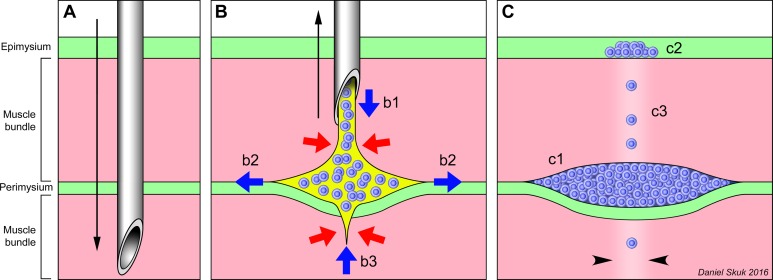 Figure 9.