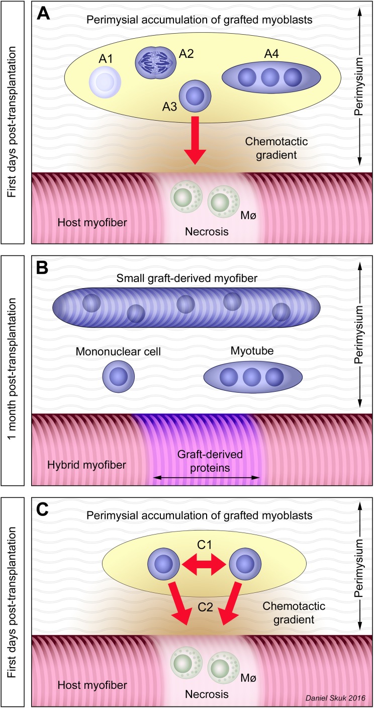 Figure 10.